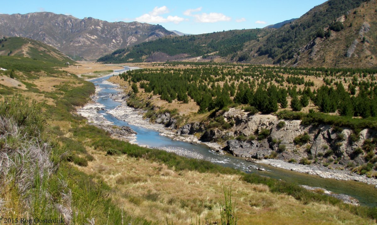 1-MolesworthClarenceRiver.jpg (244518 bytes)